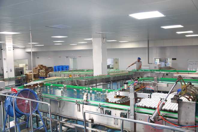 每逢佳節胖三斤？低糖即食燕窩代工廠攜手倉儲業，助你搶占健康消費新賽道